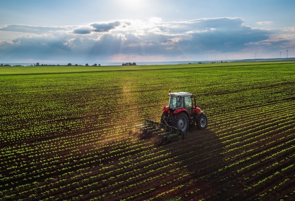 Agricolo Calderara Trebbo di Reno